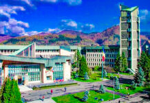 Consilierii județeni vor să promoveze Maramureșul în Europa