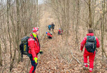 Bărbat de 50 de ani, recuperat de salvamontiști dintr-o zonă greu accesibilă, din pădure, după ce s-ar fi tăiat cu toporul la un picior