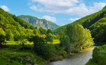 Raport privind fondul forestier : tăieri masive de copaci în ariile protejate Natura 2000